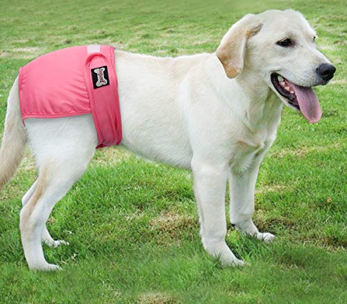 Tineer Lavable Pañales para Perros Perros Reutilizables Fisiológicos Piel fisiológica a Prueba de Fugas Pantalón para Perras (Paquete de 3) (XL)