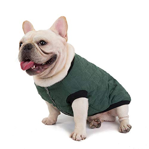 Tineer Pet Soft Fleece Coat Ropa de Bulldog francés Chaqueta de Gamuza de algodón a Cuadros de Gamuza - Traje de Traje cálido de otoño e Invierno - para Perros pequeños y medianos (S, Verde)