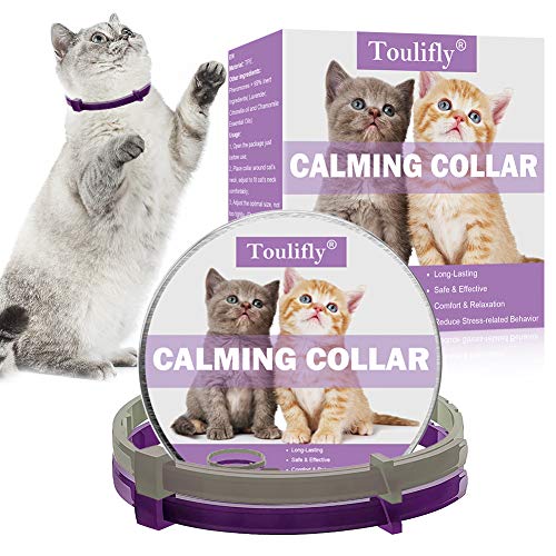 TOULIFLY Collar calmante para gatos, ajustable, alivia la ansiedad, feromona, collar calmante natural de larga duración, seguro y eficaz (2 unidades)