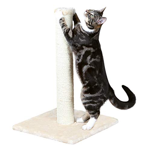 Trixie Poste Rascador De Gatos - Arbol para Gatos Juguete Parla 62 cm Beige