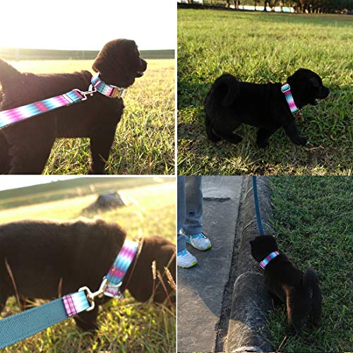 TVMALL Collar de Perro Ajustable para el Aire Libre, para Mascota, Correa, Cuerda, Collar Estilo Bohemio, para Perros medianos y pequeños