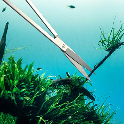 UEETEK Aquarium Aquascaping Kit 6 en 1 acero inoxidable acuario tanque planta acuática herramientas conjuntos pinzas tijera espátula