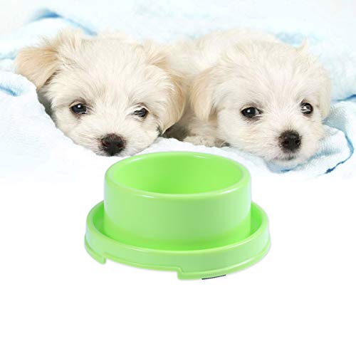 UKCOCO Tazón de Comida Anti-Hormiga para Mascotas, Cuenco de Comida de Agua de Plástico, Recipiente para Alimentos Antideslizante para Perros y Gatos (Verde)