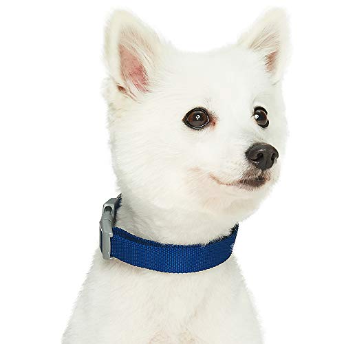 UMI. Essential Classic - Collar para Perros L, Cuello 45-66 cm, Collares Ajustables para Perros (Azul Marino)