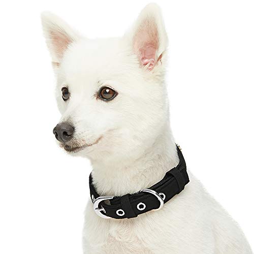 UMI. Essential Designer - Collar para Perros con Adorable Estampado de Huellas y Hebilla metálica L, Cuello 43-52 cm (Negro)