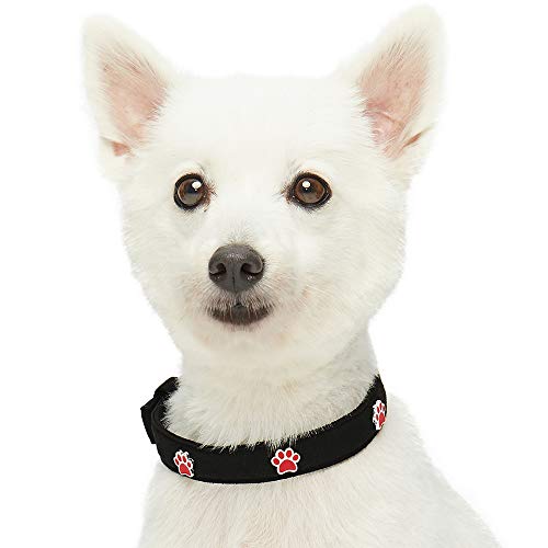 UMI. Essential Designer - Collar para Perros con Adorable Estampado de Huellas y Hebilla metálica L, Cuello 43-52 cm (Negro)