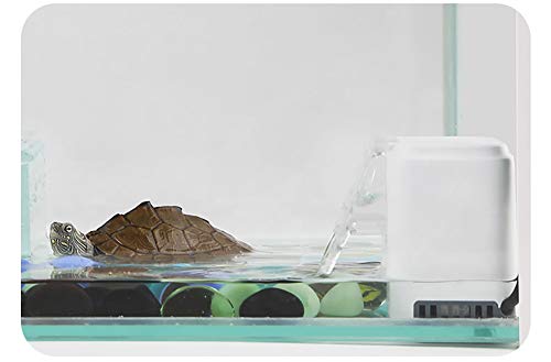 Vansuky AC220~240V Filtro de bajo Nivel de Agua para Tortuga (1.5cm), Bomba de Agua Limpia para Tortuga y Tanque de Reptiles (Enchufe de la UE)