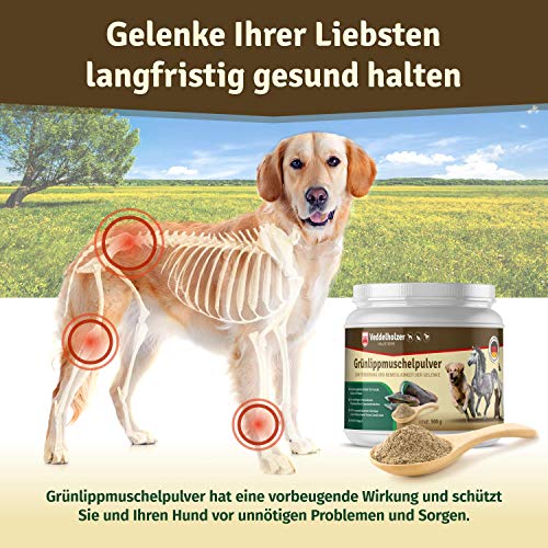 Veddelholzer - Polvo de mejillón verde natural para perros, 500 g, para apoyar las funciones de las articulaciones, extracto de labio verde con alta aceptación en todos los perros