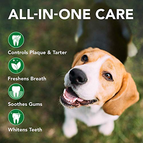 Vet's Best Pasta de dientes para perros, limpieza de dientes y gel para el cuidado dental de aliento fresco, 100g