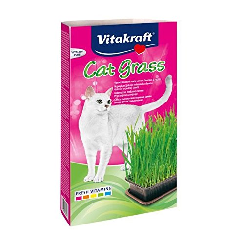 Vitakraft cat gras hierba para gatos
