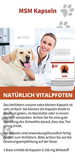 Vitalpfoten MSM Cápsulas para Perros y Gatos 60 Pieza complemento Forro Medio Pures MSM - Suave dosificación, Alta pureza y Calidad, fabricación en Alemania