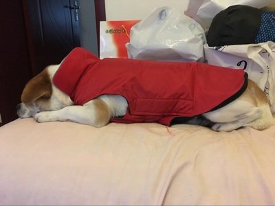 VIVI oso invierno frío perros chaqueta abrigo lluvia Día cálido impermeable acolchado anti-estática vestido forro polar chaqueta de seguridad para mascotas de XS a XXXL tamaños y # xFF0 C; Rojo
