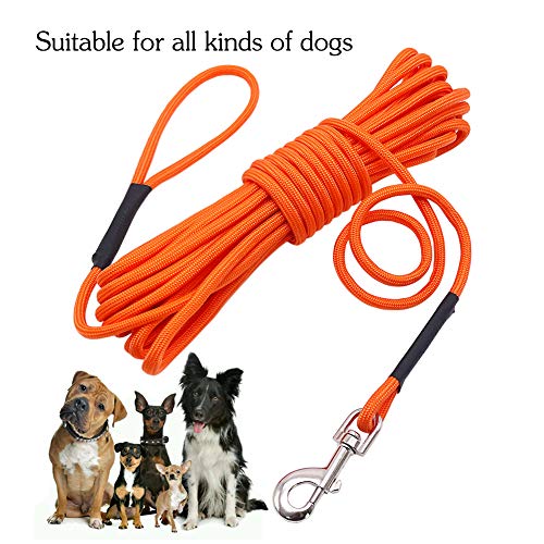 Vivifyin - Cuerda flotable para perro con asa para playa, lago, 10 m