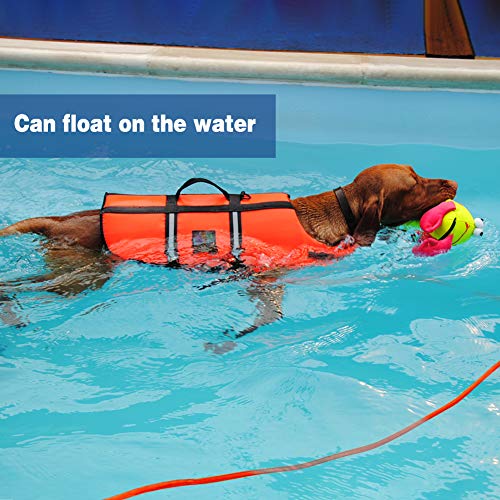 Vivifyin Dog Check Cord, 6 m flotante, cuerda larga de entrenamiento para perros con asa para playa, lago (naranja)