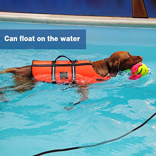 Vivifyin Dog Check Cord, 6 m flotante, cuerda larga de entrenamiento para perros con asa para playa, lago (negro)