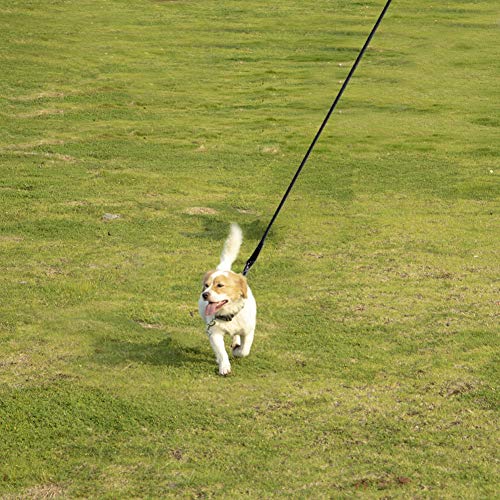 Vivifyin Dog Check Cord, cuerda flotante, larga de entrenamiento para perros, para playa, lago, color negro