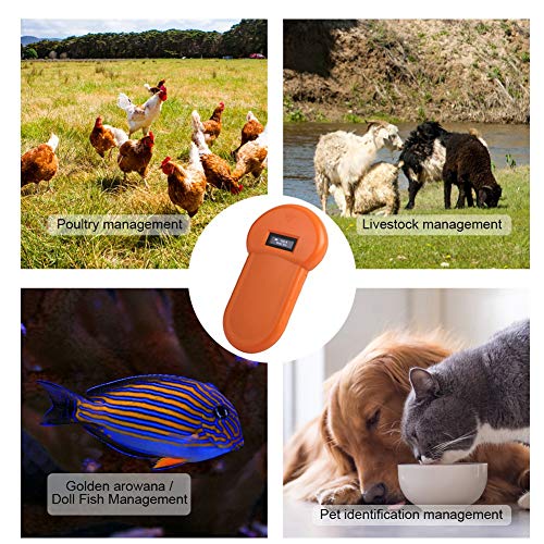 Wandisy Lector Chip Animales,Lector de identificación de Animales, 134.2Khz LCD ISO ID Chip Lector de Animales RFID Perro Microchip Escáner de Mano para Mascotas, USB Recargable