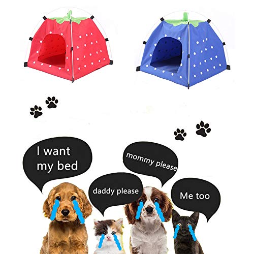 WESDOO Casitas para Gatos Mascota Tiendas de campaña Caseta de Perro al Aire Libre Al Aire Libre Cama de Perro Casa de Perrito Perro Tienda Cama Red