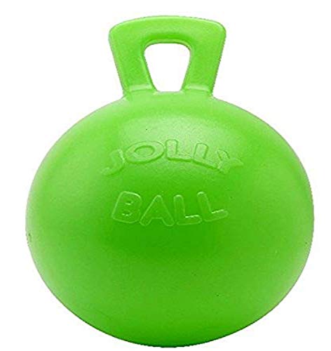 William Hunter Waldhausen Jolly Ball - Pelota aromática de Manzana (25 cm), Color Verde