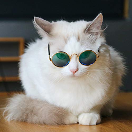Xrten Gafas de Sol para Mascotas Perro Gato