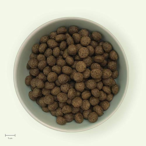 Yarrah Alimento Orgánico para Perros sin Cereales - 2 kg - Para Perros que tienen Dificultad Digerir Cereales - Sin Aditivos Artificiales y Pesticidas - Croquetas con Pollo, Pescado, Guisantes y Algas