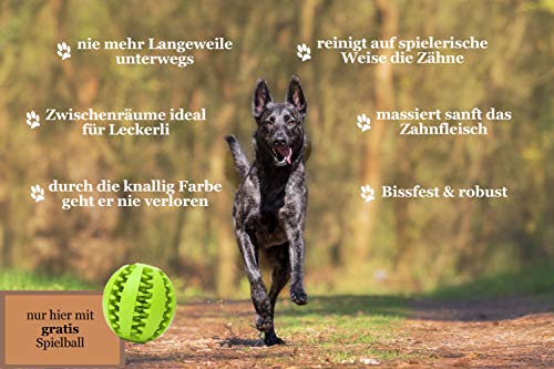 YellowMedia - Ansiedad para perros - con Martin Rütter + bolsa elegante & pelota de juegos para perros para el cuidado dental, la educación de perros