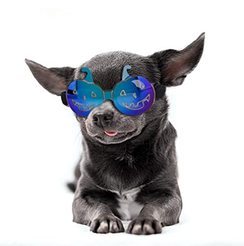 Yonfan - Gafas de Sol de Calabaza para Perro, Gato, Disfraz, para Fiestas, Carnaval, Halloween, protección UV, protección para los Ojos para Perros pequeños y medianos, Gatos, Cachorros, Gatitos