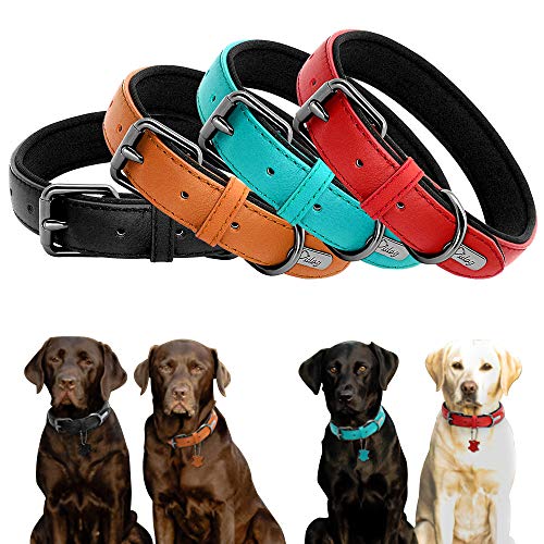 YXDZ Collar De Cuero Real para Perro, Collares Acolchados para Identificación De Perro, Accesorios para Perros Pequeños Medianos Grandes Pitbull Bulldog