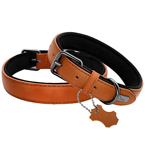 YXDZ Collar De Cuero Real para Perro, Collares Acolchados para Identificación De Perro, Accesorios para Perros Pequeños Medianos Grandes Pitbull Bulldog