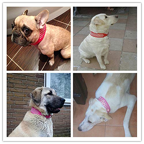 YXDZ Collares para Perros De Cuero De Diamantes De Imitación Bling Diamante Crystal Studded Dogs Collares para Mascotas De 2 Pulgadas De Ancho para Perros Medianos