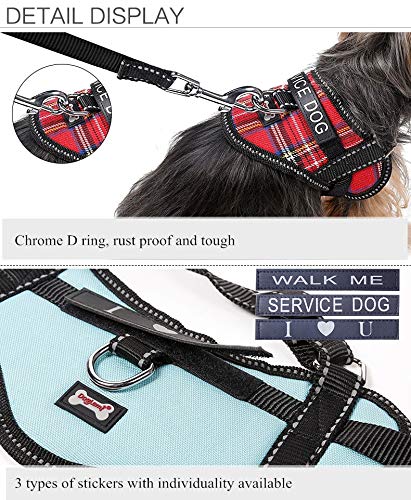 ZHAJIAN Cute Dogs Collars Vest Harnesses Chest Leash Set Pets Shop Accesorios Reflectantes para Perros Mascotas