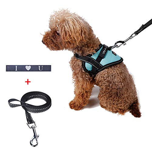 ZHAJIAN Cute Dogs Collars Vest Harnesses Chest Leash Set Pets Shop Accesorios Reflectantes para Perros Mascotas