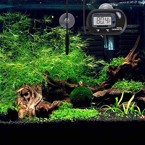 ZHITING LCD Termómetro digital para acuarios Pecera Temperatura del terrario de agua con ventosa para tortuga