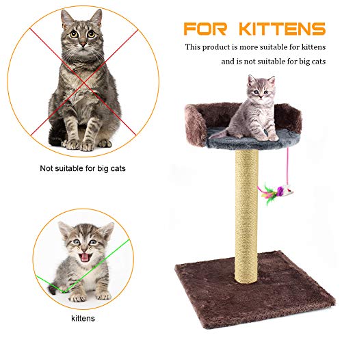 Zubita Rascadores para Gatos, Árbol para Gatos Arañazo Gatos Juguetes de Sisal Natural, Cat Toy Centro de Actividad para Gatitos con Peluche