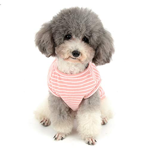 Zunea camiseta para perros pequeños y gatos, camiseta a rayas para verano, chaleco de chihuahua de algodón suave para cachorros