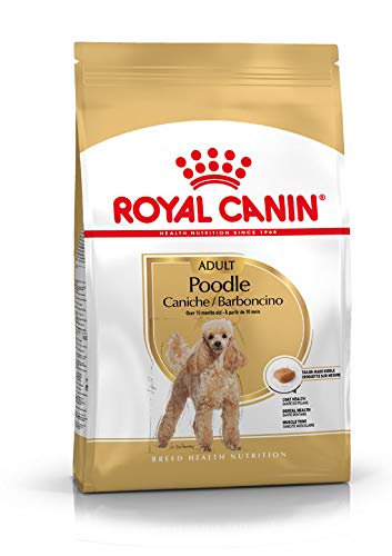 1 x Royal CANIN perro caniche 500 g trockenfutter