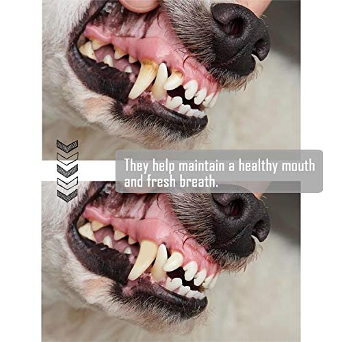 12 Pcs Hueso Prensado para Perros Piel Vacuno Fortalecedor de Dientes Stick Dental Dog Snack 9cm (12 Pcs 9 cm) BPS-5094 * 3