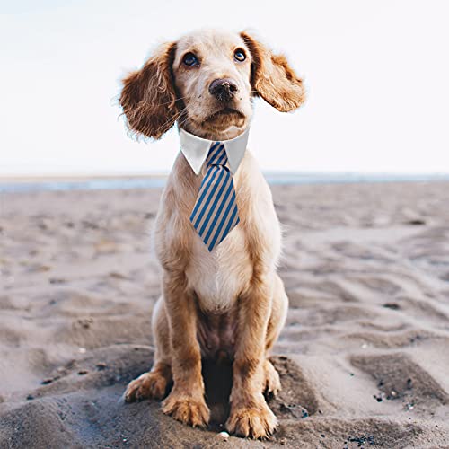 2 pajaritas para perros y gatos, corbata de perro, collar de gato, pajarita ajustable para cachorro, corbatas formales para fiestas para perros y gatos, corbata de perro, disfraces para perros, 30 cm