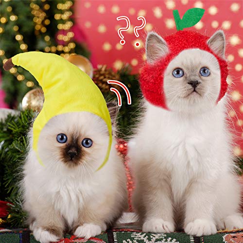 5 Sombreros para Mascotas Sombrero de Conejo de Gato Perro con Orejas de Conejo Gorro de Plátano Girasol Piña Disfraces de Fiesta Lindos, Materiales Seguros de Animales y Ajustable