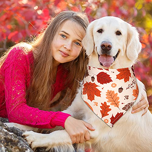 6 Bandanas de Perro de Acción de Gracias Pañuelo Triángulo de Perro de Calabaza, Pavo, Hojas de Arce, Otoño Pañuelo Babero Ajustable de Mascotas para Accesorios de Acción de Gracias