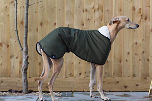 Abrigo impermeable con forro polar verde oliva, con correa ajustable a juego, galgo, galgo italiano, sighthound (XXLARGE 78,7 cm)