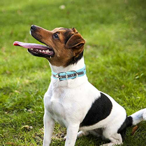 ABRRLO Collares de cuero para perros pequeños, medianos y grandes, niños y niñas, reflectantes, ajustables, para mascotas (azul, XL)