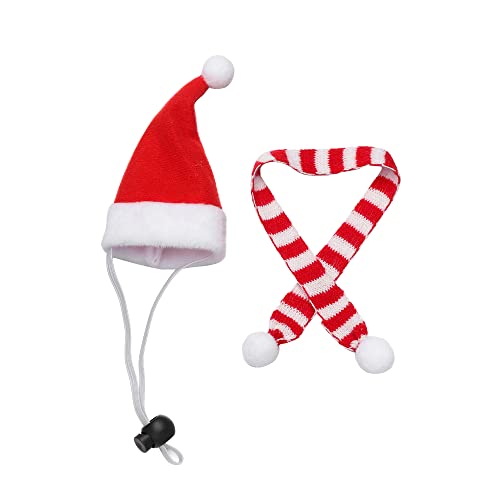 Accesorio de decoración del hogar Traje de vacaciones Lagarto Guinea Pig Aves de corral Sombreros Animal Bufanda Feliz Navidad Pet Hat Santa Claus (A)
