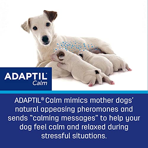 Adaptil - Collar Ajustable calmante con feromonas para Perros pequeños estresados o para Entrenar Cachorros - Tamaño máximo del Cuello: 37,3 cm.