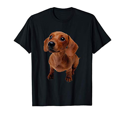Adorable lindo perro salchicha peludo marrón Camiseta
