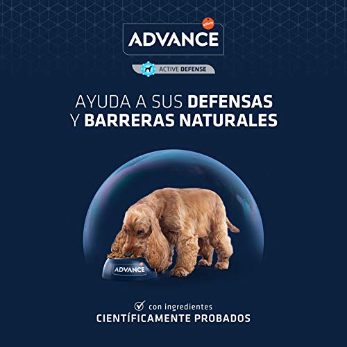 ADVANCE Adult Maxi - Pienso Para Perros Junior De Razas Grandes Con Pollo- 14 kg