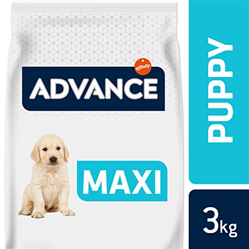 ADVANCE Puppy Maxi - Pienso Para Cachorros De Razas Grandes Con Pollo - Pack De 3 x 3 kg - Total 9 kg