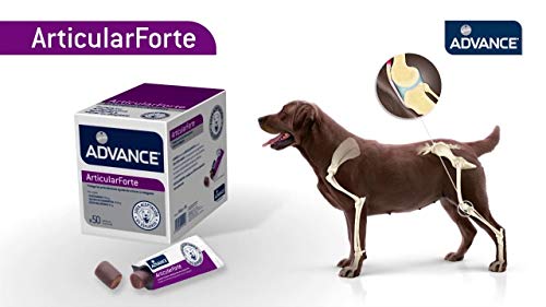 ADVANCE Suplemento nutricional para perros Articularforte- Caja de 20 sobres con 2 partículas de 5gr