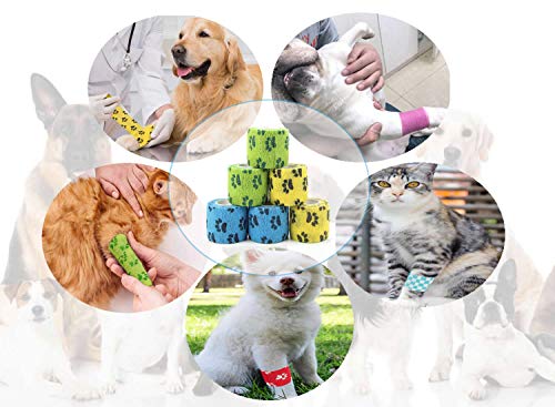 AILITRADE Collares básicos inflables del perro del animal doméstico para los perros medianos, cono cómodo del perro del collar del animal doméstico para la recuperación