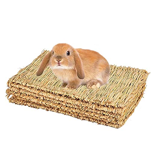 Alfombrilla de hierba para conejo, conejo, masticar, tapete de cama tejido para conejo, chinchilla, ardilla, hámster, perro y animal pequeño, 4 unidades (4 piezas)